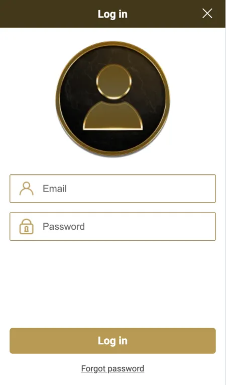 Mega Riches login screen after account activation